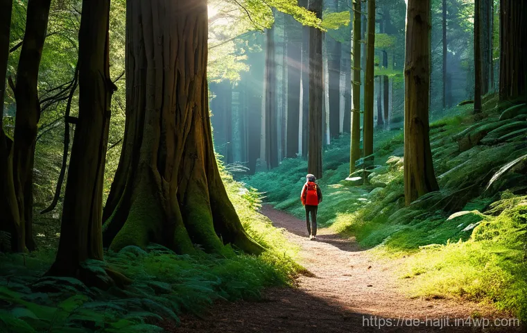 자기 성찰을 위한 하루 계획 세우기 - **Prompt 1: Serene Morning Reflection and Journaling**
"A candid, sunlit photograph of a person ... 자기 성찰을 위한 하루 계획 세우기 - **Prompt 1: Serene Morning Reflection and Journaling**
"A candid, sunlit photograph of a person ...